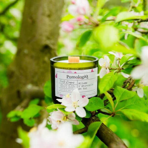Bougies Artisanale PomologiQ